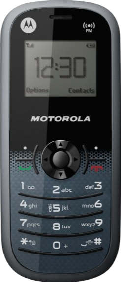 Motorola WX161 MobilePhone