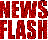 News Flash2