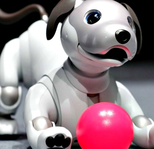 Sony Aibo-ERS-1000 Robot Dog