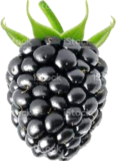 DELA DISCOUNT blackberry-fruit Blackberry DELA DISCOUNT  