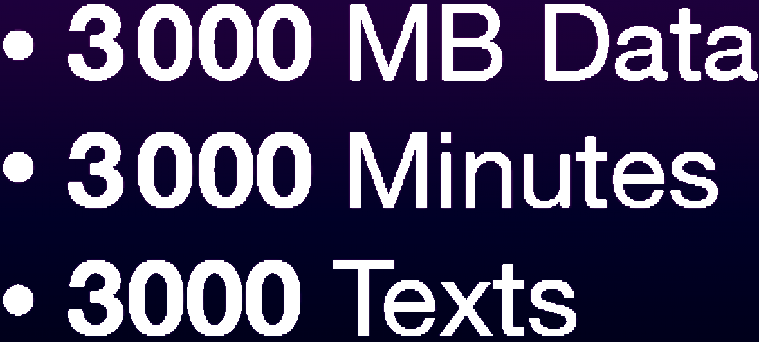 A Bundle Data Minutes and Text