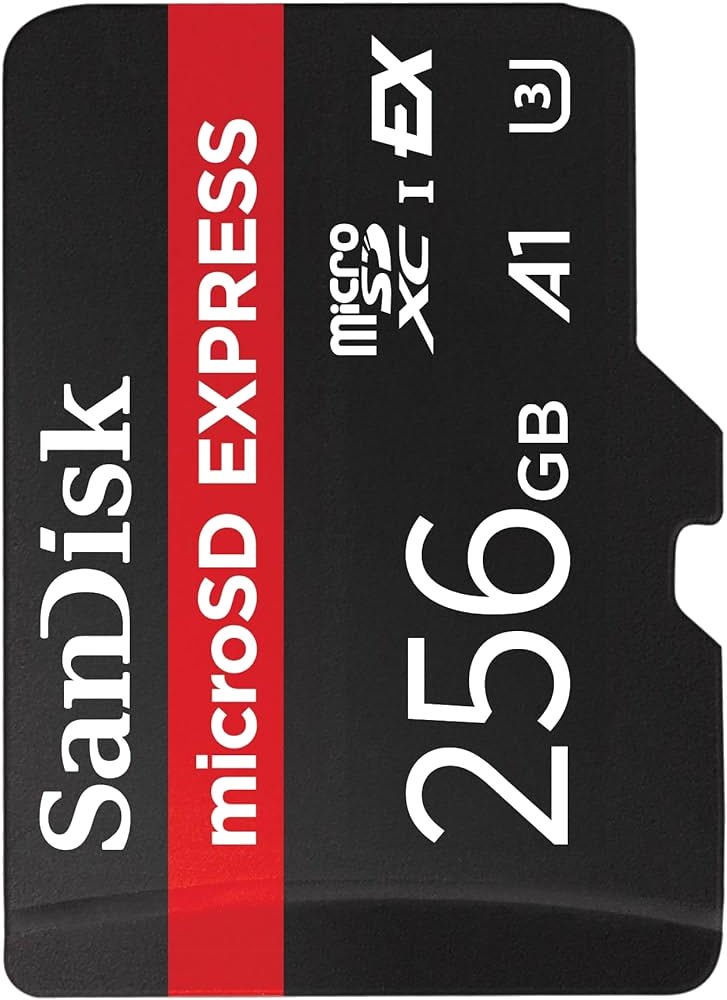 SanDisk-Memory-Card-256GB